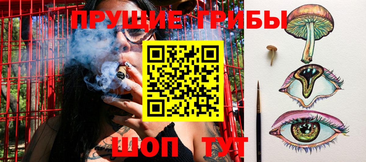 Псилоцибиновые грибы Cubensis  Псилоцибиновые грибы ЛСД  Волгоград  Вход с VPN 